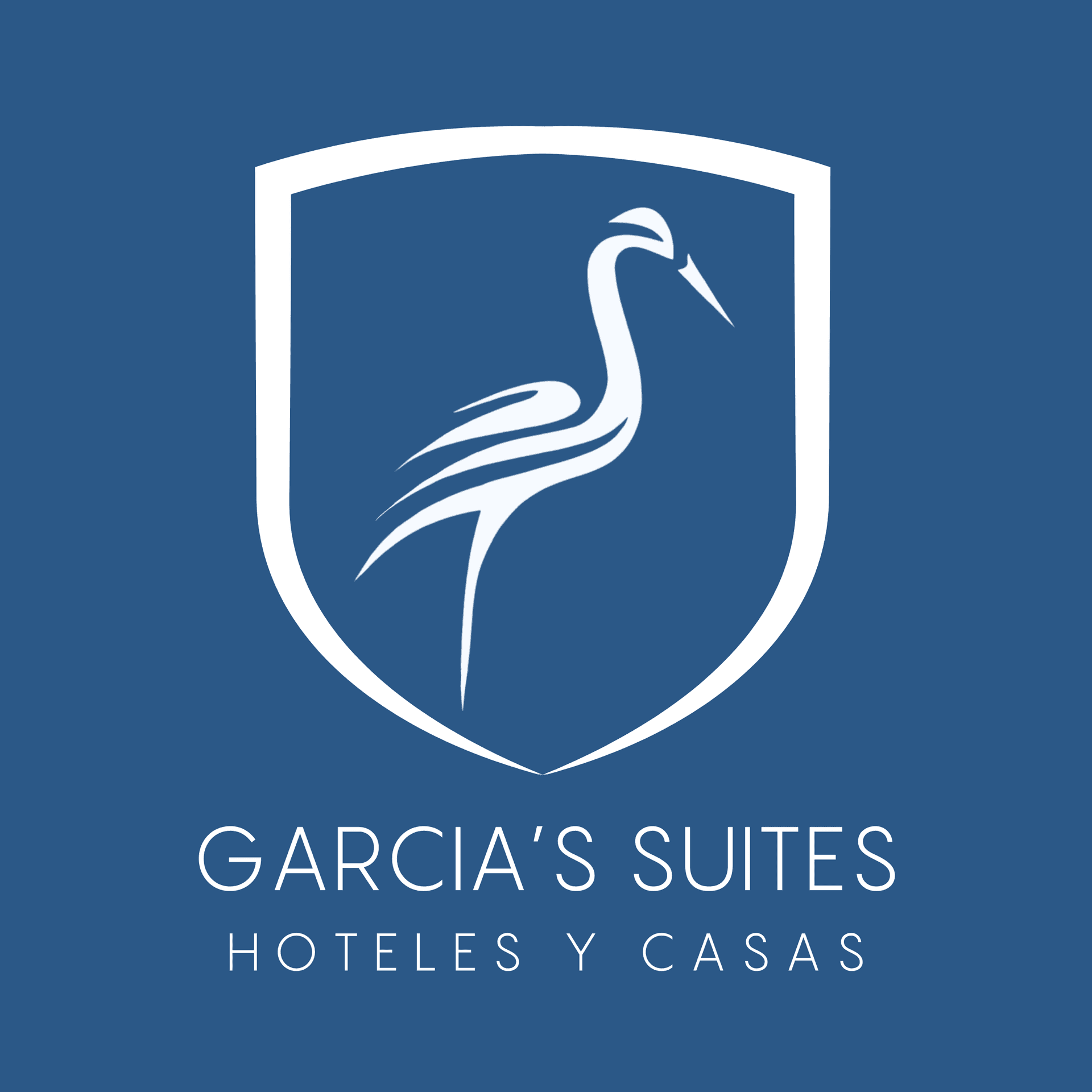 Garcia Suites y Hotel Villegas